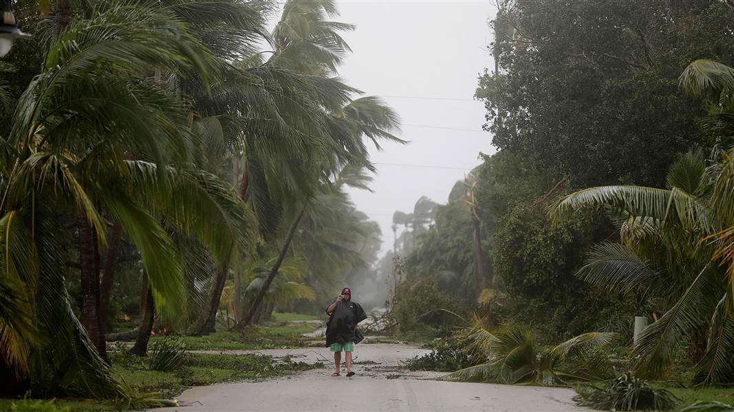Beware Greens Exploiting Hurricanes