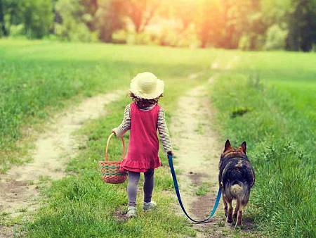 8-Year-Old Girl Walks Dog Around Block, Police and Child Services Investigate Mom