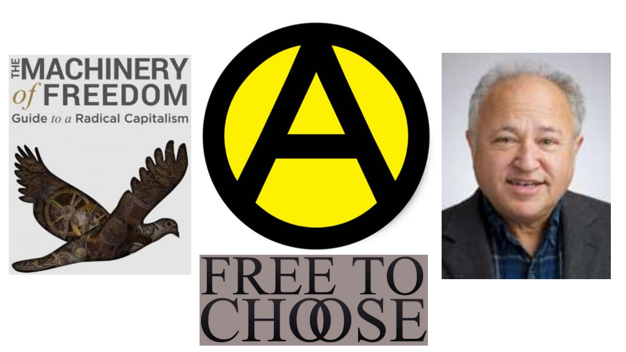 David D. Friedman: the Case for Anarcho-Capitalism Ep. 100