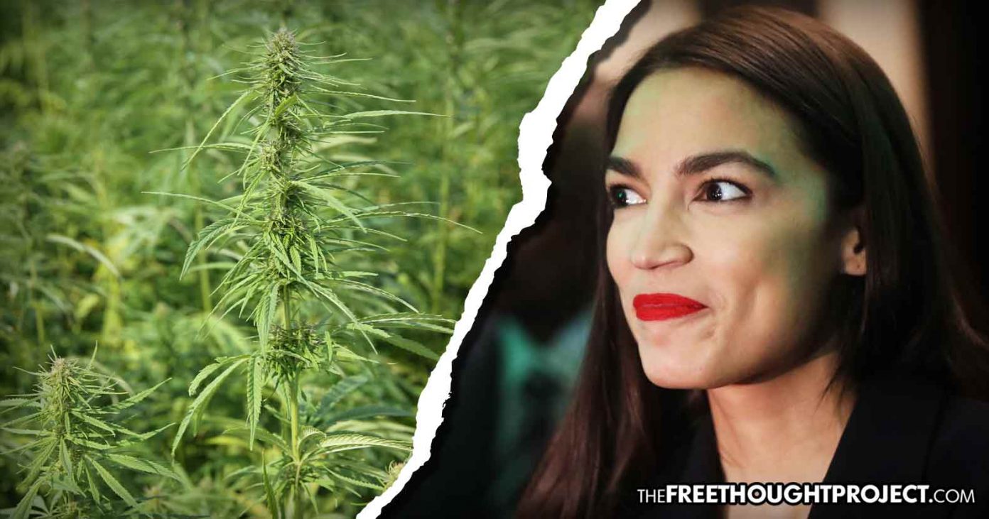 Forget AOC, America’s Real “Green New Deal” is Hemp