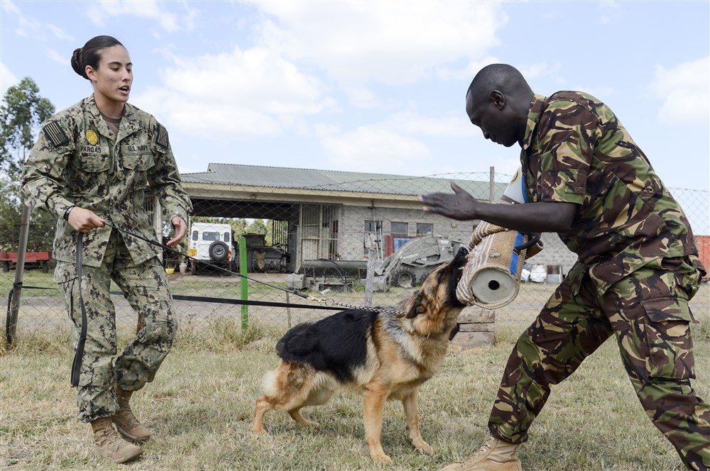 Building Partner Capacity to Destroy – KDF’s Version of “Information Operations”