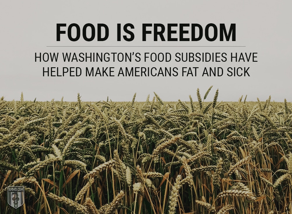Food Subsidies