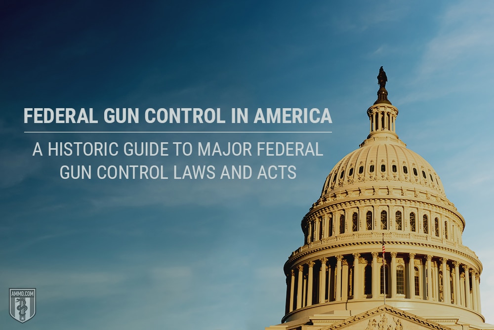 Federal Gun Control