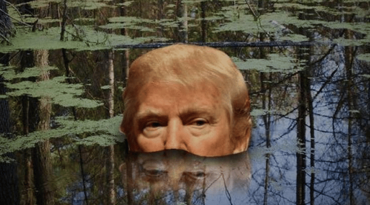 Big Spender Trump Is Drowning in His Swamp