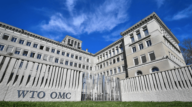 The WTO Is Both Irrelevant and Unnecessary