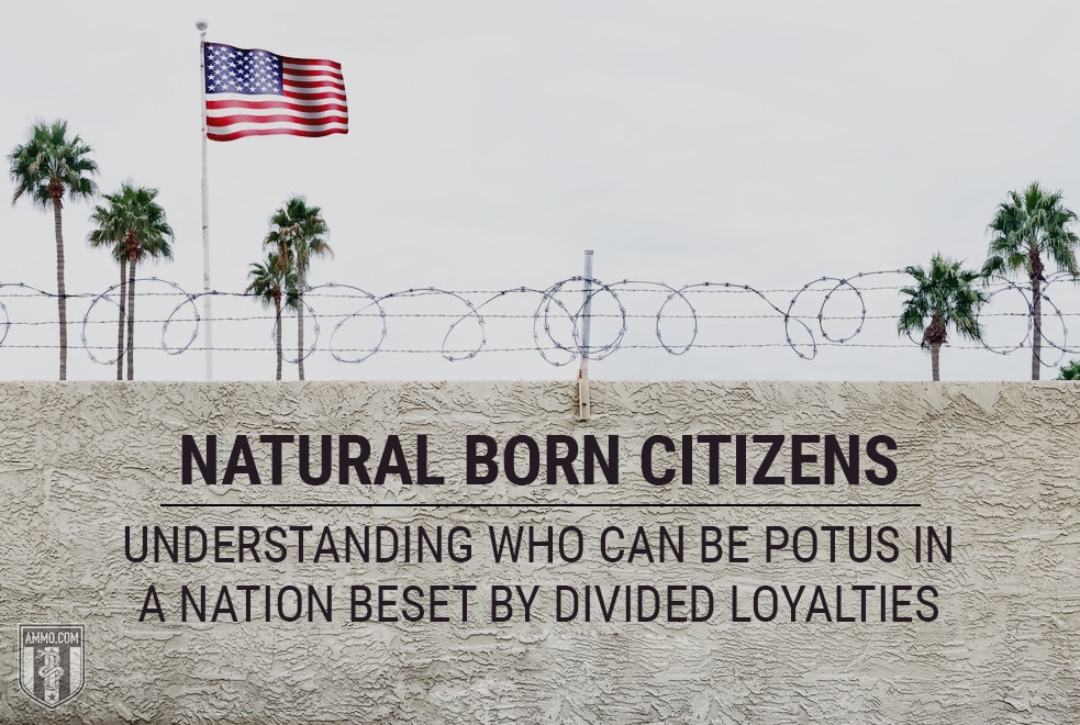 Natural Born Citizens Naturalized Us Citizenship Who Can Be Potus Hero