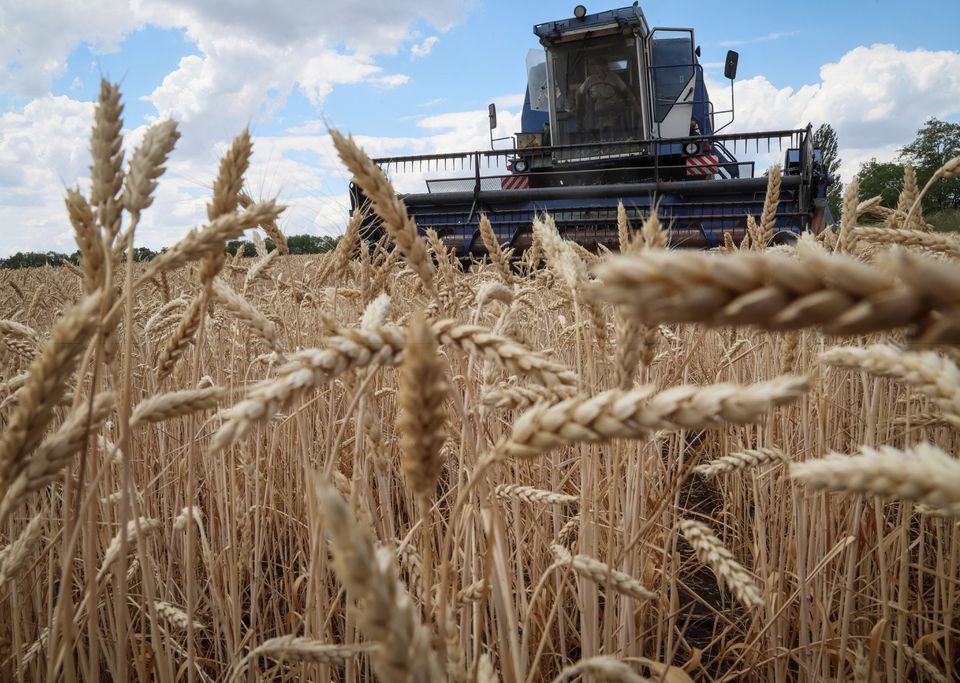 Ukraine Food Export Deal in Jeopardy as Moscow Demands West Live Up to Commitments