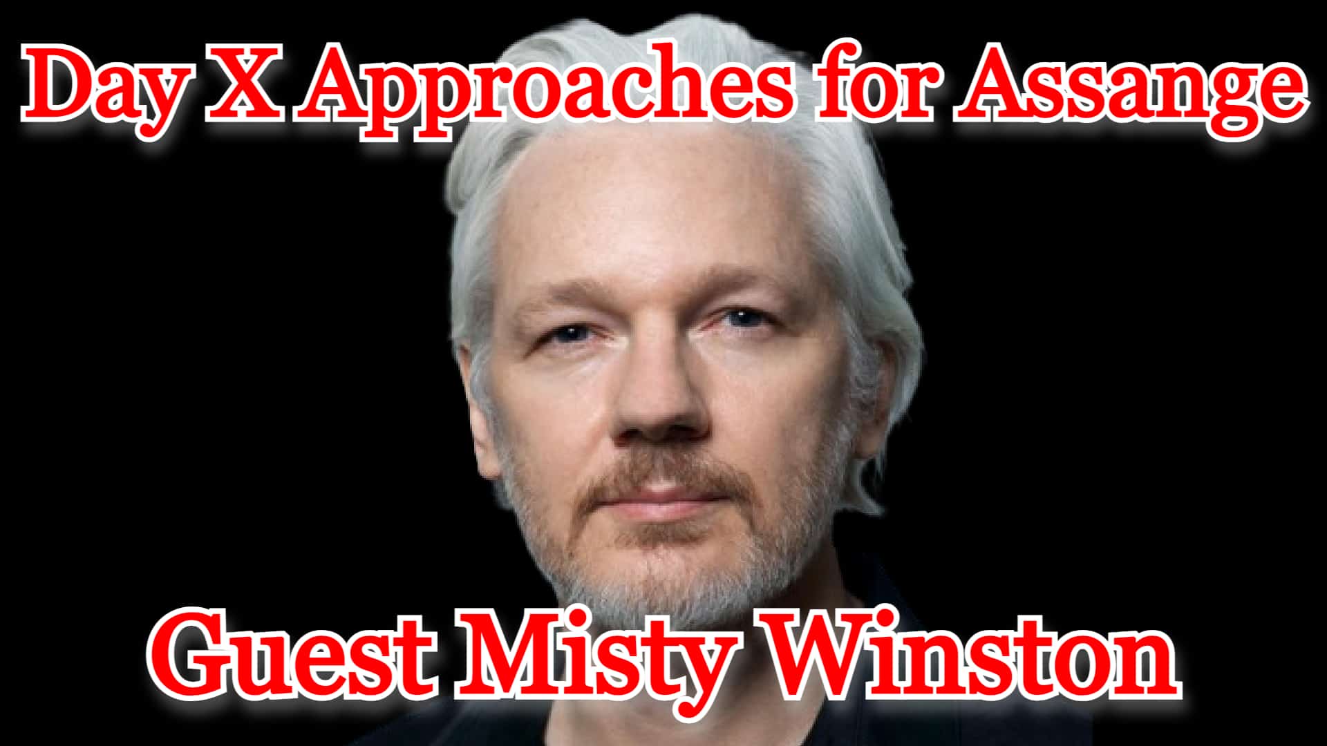 Day X Approaches for Julian Assange guest Misty Winston